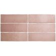 ������������ Equipe Magma Coral Pink 6,5x20