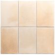 ������������ Equipe Miyako Desert 10x15
