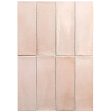 ������������ Equipe Miyako Crystal Pink Gloss 5x15