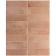 ������������ ������ Equipe Raku Nude 6x18,6
