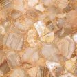������������ ITC Jade Terrazo Sugar 60x60