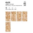  ������������ ITC Agate Monstera Polished 60x120