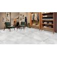  ������������ ITC Agate Monstera Polished 60x120