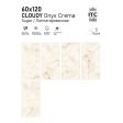  ������������ ITC Ariana Wood Brown Carving 60x120