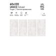  ������������ ITC Agate Monstera Polished 60x120
