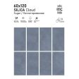  ������������ ITC Agate Monstera Polished 60x120