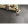  ������������ Infinity Ceramica Parco Viola Carving 60x60