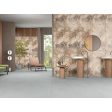  ������������ Infinity Ceramica La Grano Sky Stona Matt 60x120
