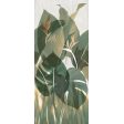 ������������ Fap Ylico Tropical Green 120x278 (fQWN)