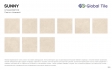  GT60601802MR ������������ GlobalTile Sunny_GT ������� 60x60 _ 1/43,2