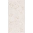 ������������ Gravita Aztech Era Dream White Colorbody Matt Carving 60x120