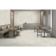  ������������ Gravita Artemis Light Sugar Carving 60x120