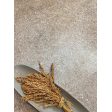  ������������ La Platera Earthsong White 60x120