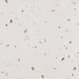 ������������ Pamesa Doria Bianco 60x60