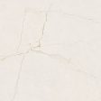 ������������ Pamesa Pol Velhira White (������) Rect.120x120 (T)