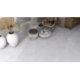  ������������ Pamesa Greenpark Bone (Mat) 60,8x60,8