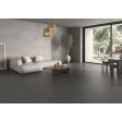  ������������ Pamesa Constanza Gray (�������) Rect. 60x120