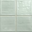 ������������ ������ Absolut Keramika Noa Fern 20x20