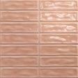 ������������ ������ Absolut Keramika Sticks Coral 20x20