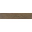 ������������ Stn Ceramica P.E.Lionel Nogal MT 30x150