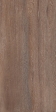 ������ Foresta Amazon Wood Brown 60x120 Matt