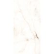 ������������ Staro Rizzi Onyx Aqua 60x120 Polished