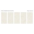  ������ Majestic White 60x120 Polished