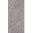  ������� Seranit Step Beton Grey Matt 32,5x120