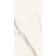 ������������ Marvel Meraviglia Calacatta Bernini 60x120 Lapp.