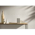 ������������ ������ ��� ���� 3D Wall Plaster Jasmine White 50x120