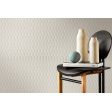  ������������ ������ ��� ���� 3D Wall Plaster Jasmine White 50x120