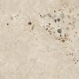 ������������ FIORANESE I COCCI SICILIANI SABBIA 60,4x60,4 R