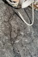 ������������ ����������� ������� �������� ������� 60x120 (1,44)