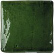 ������������ ������ ��� ���� WOW ROOTS S OLIVE GLOSS 11x11