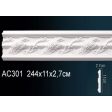 ������� �� ����������� ������� AC301 11x2.7x244