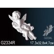������������ ������� �� ����������� ������� G2334R 17.3x4.7